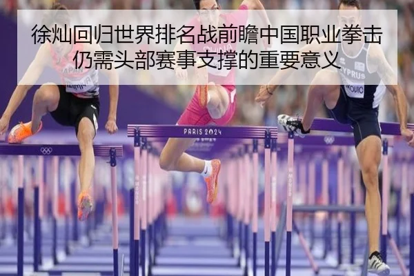 徐灿回归世界排名战前瞻中国职业拳击仍需头部赛事支撑的重要意义
