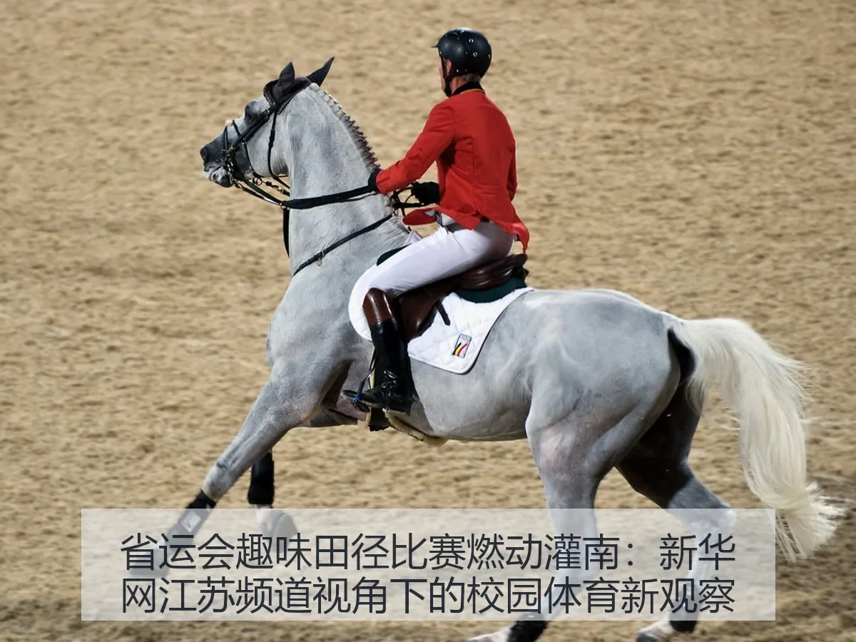 省运会趣味田径比赛燃动灌南：江苏频道：校园体育新观察